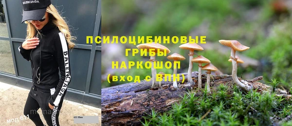 мескалин Алексин