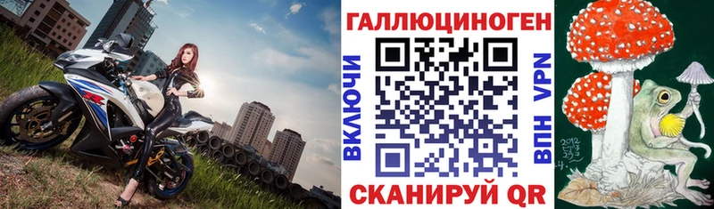 kraken зеркало  как найти закладки  Чаплыгин  Галлюциногенные грибы Psilocybine cubensis 